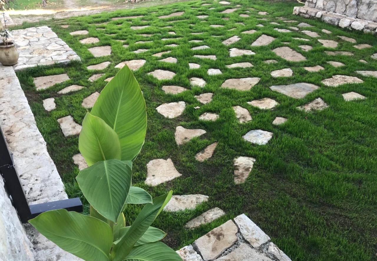 Green Silence - Iva Danilovgrad Exterior foto